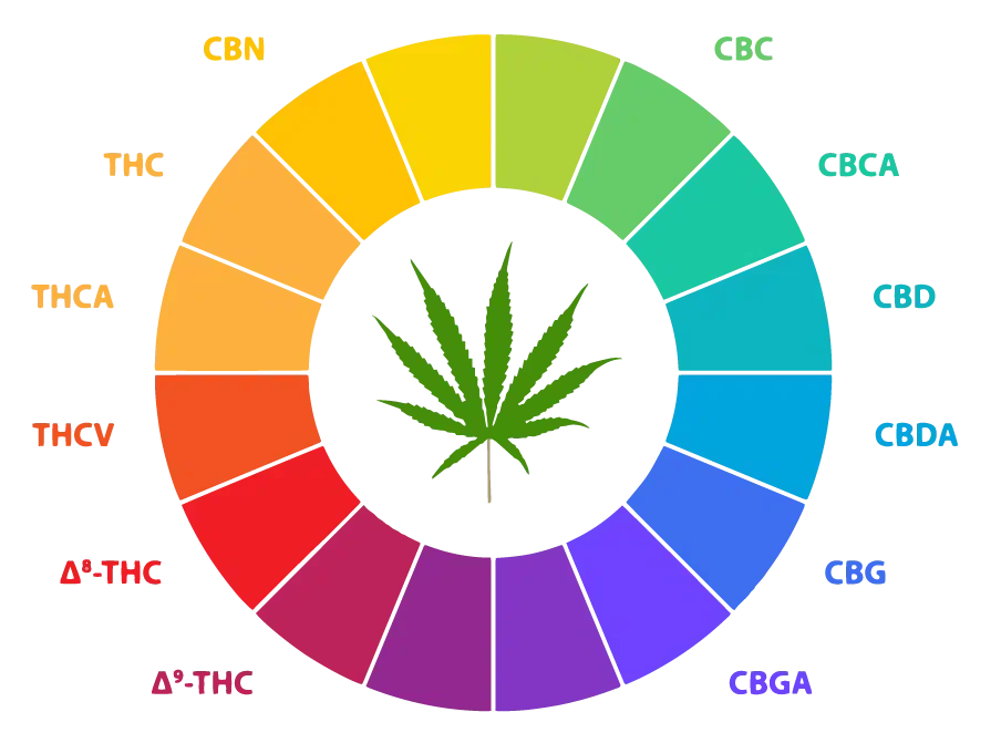 Caroline’s Cannabis Cannabinoids Wheel Chart