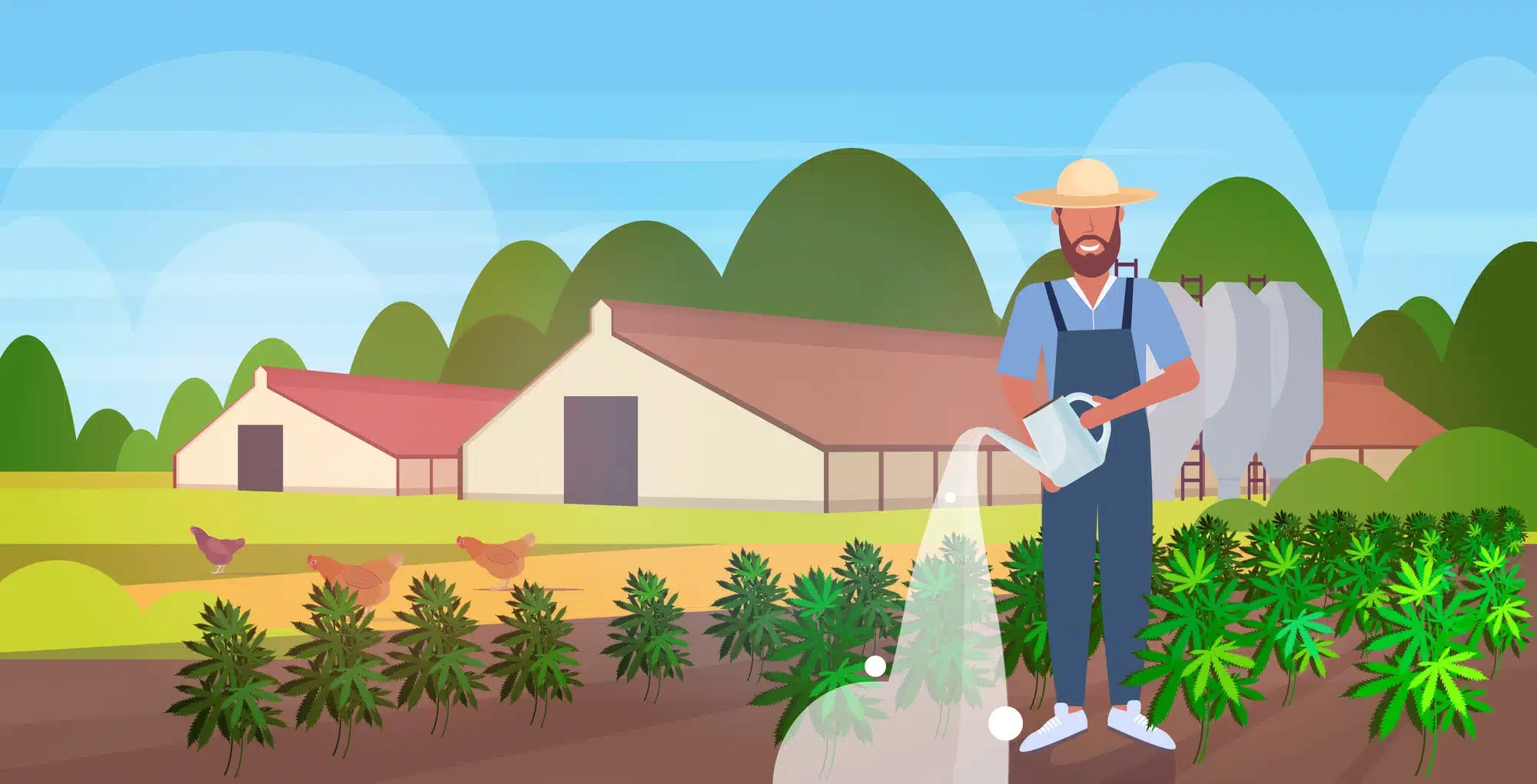 Caroline’s Cannabis Cannabis Farmer